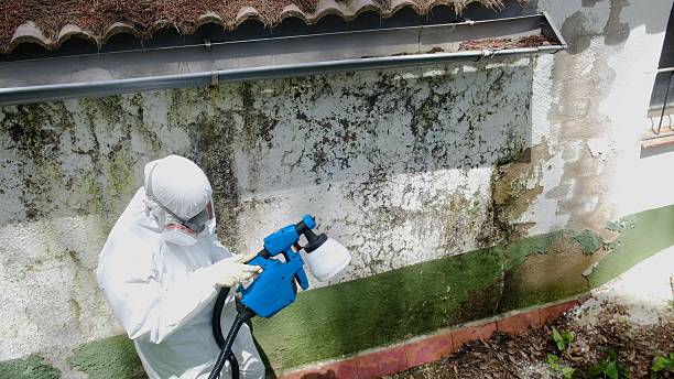 Top rated local Mold Remediation specialists in Williamsburg, PA